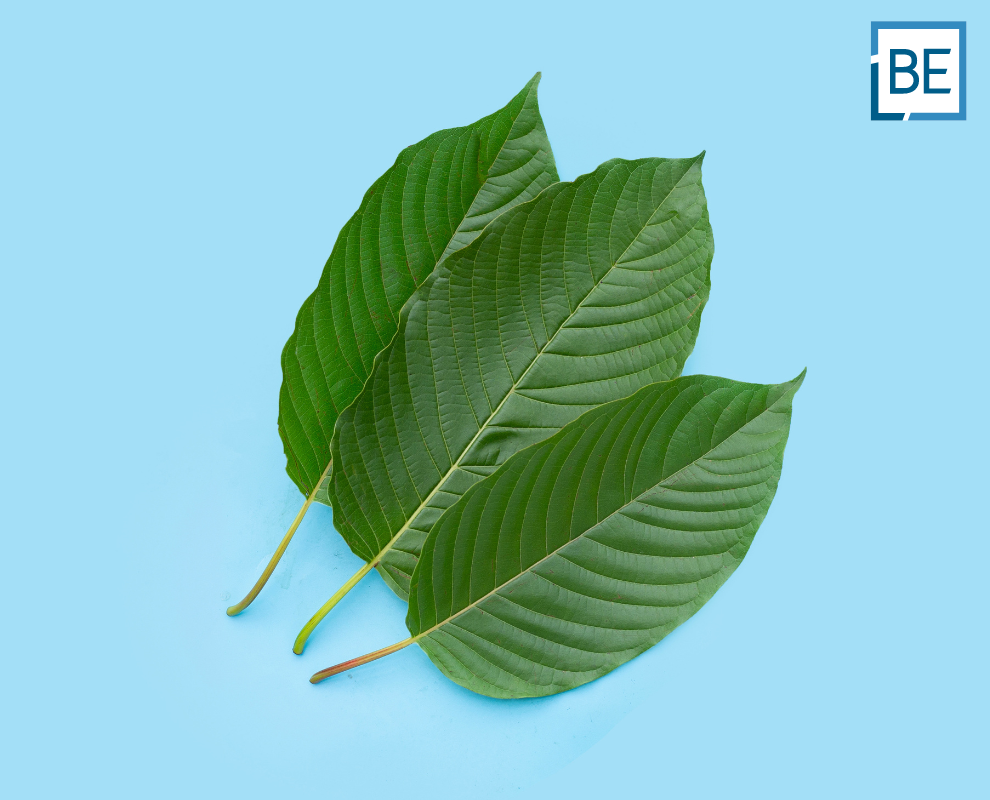 Thailand narcotics act”New legal framework for Kratom in Thailand